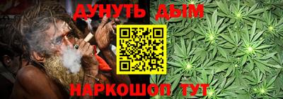 сатива Бузулук