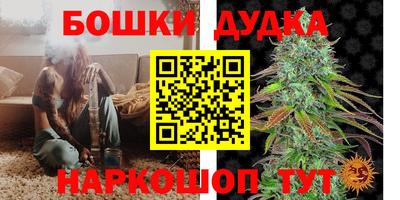 Альфа ПВП Будённовск