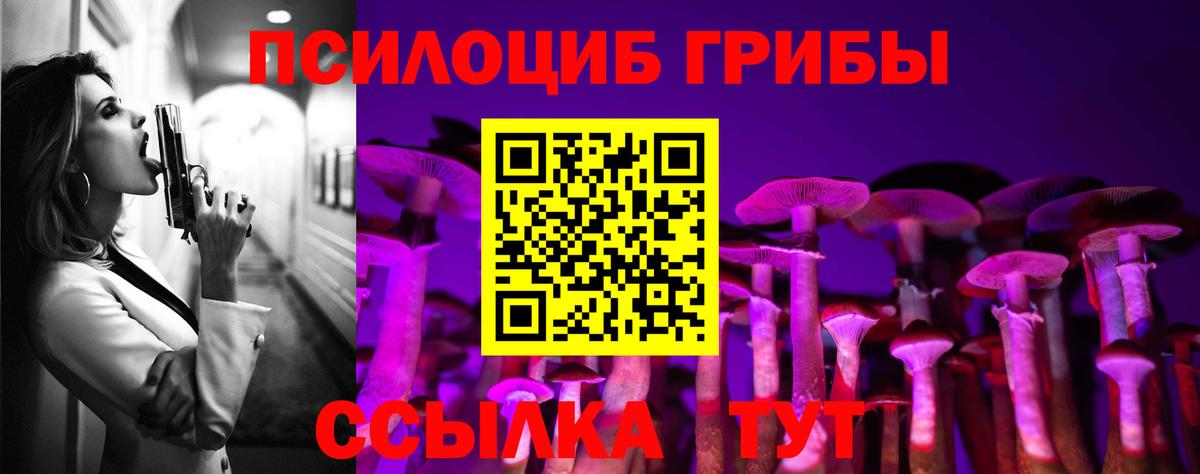 Псилоцибиновые грибы MAGIC MUSHROOMS  Псилоцибиновые грибы мухоморы  Вход с VPN  Славгород 