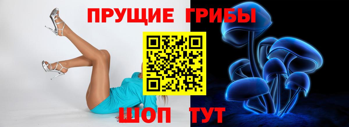 Псилоцибиновые грибы MAGIC MUSHROOMS Славгород